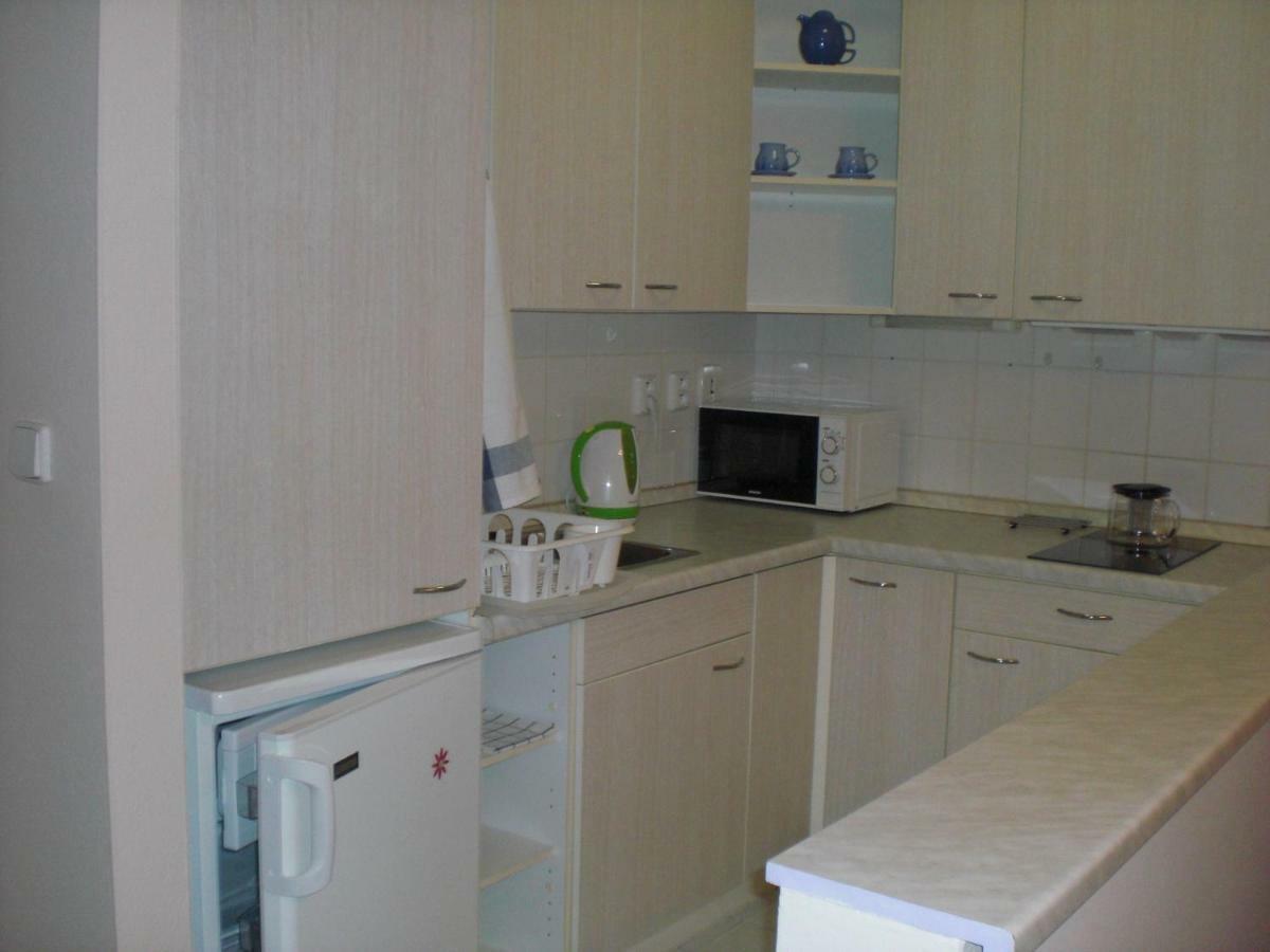 Apartman Pod Klinovcem ヤーヒモフ エクステリア 写真